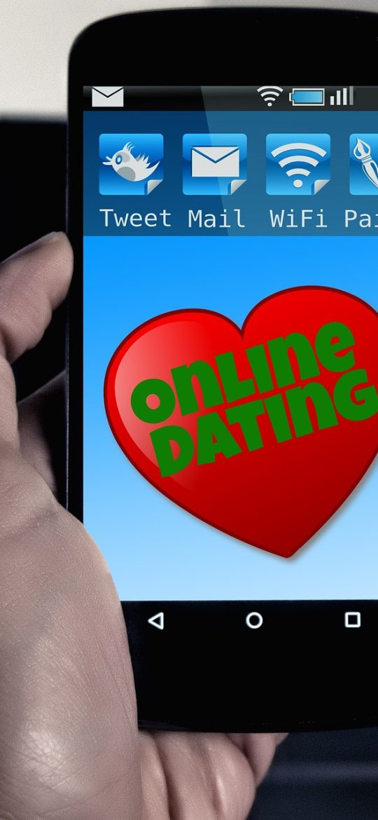 新点电子交易平台 App 开标直播界面截图，实时显示解密进度与唱标时间线，画面为深色终端风格，绿色进度标识