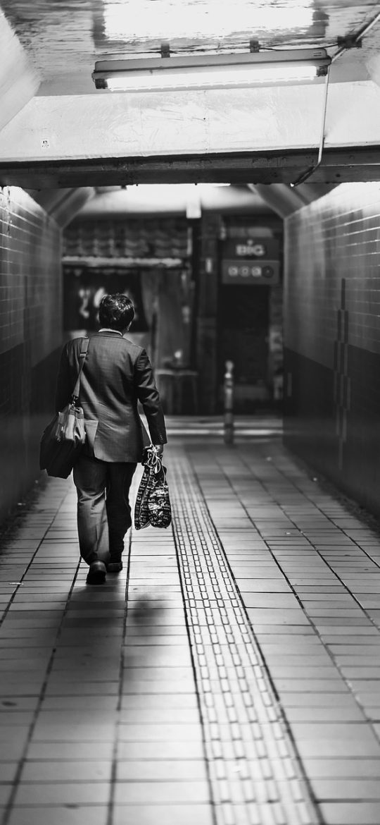 新点电子交易平台 App 项目检索界面截图，筛选条件包含地区、行业与金额区间，下方为按时间排序的公告卡片流